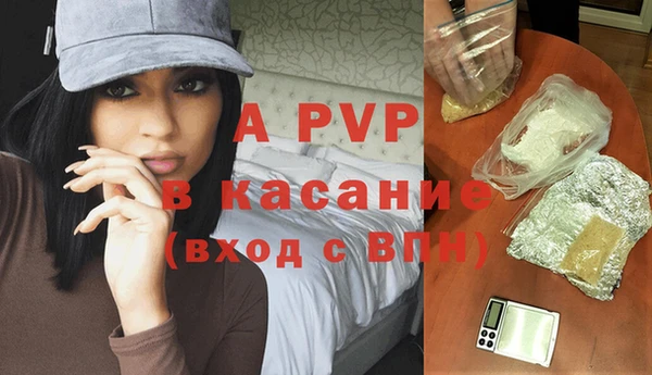 твердый Аркадак