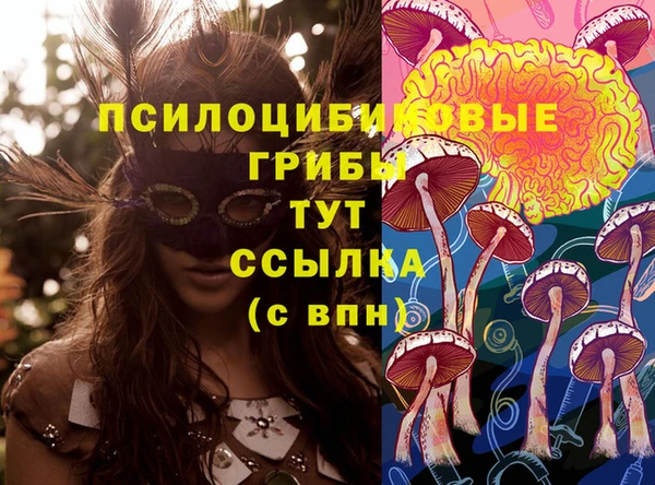 твердый Аркадак