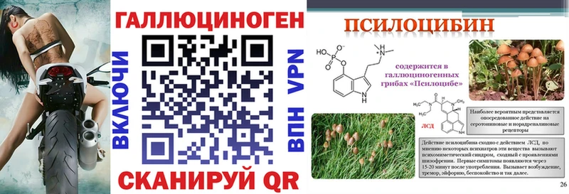 Галлюциногенные грибы MAGIC MUSHROOMS  Гуково 